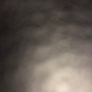 Meet your Posher, Ella